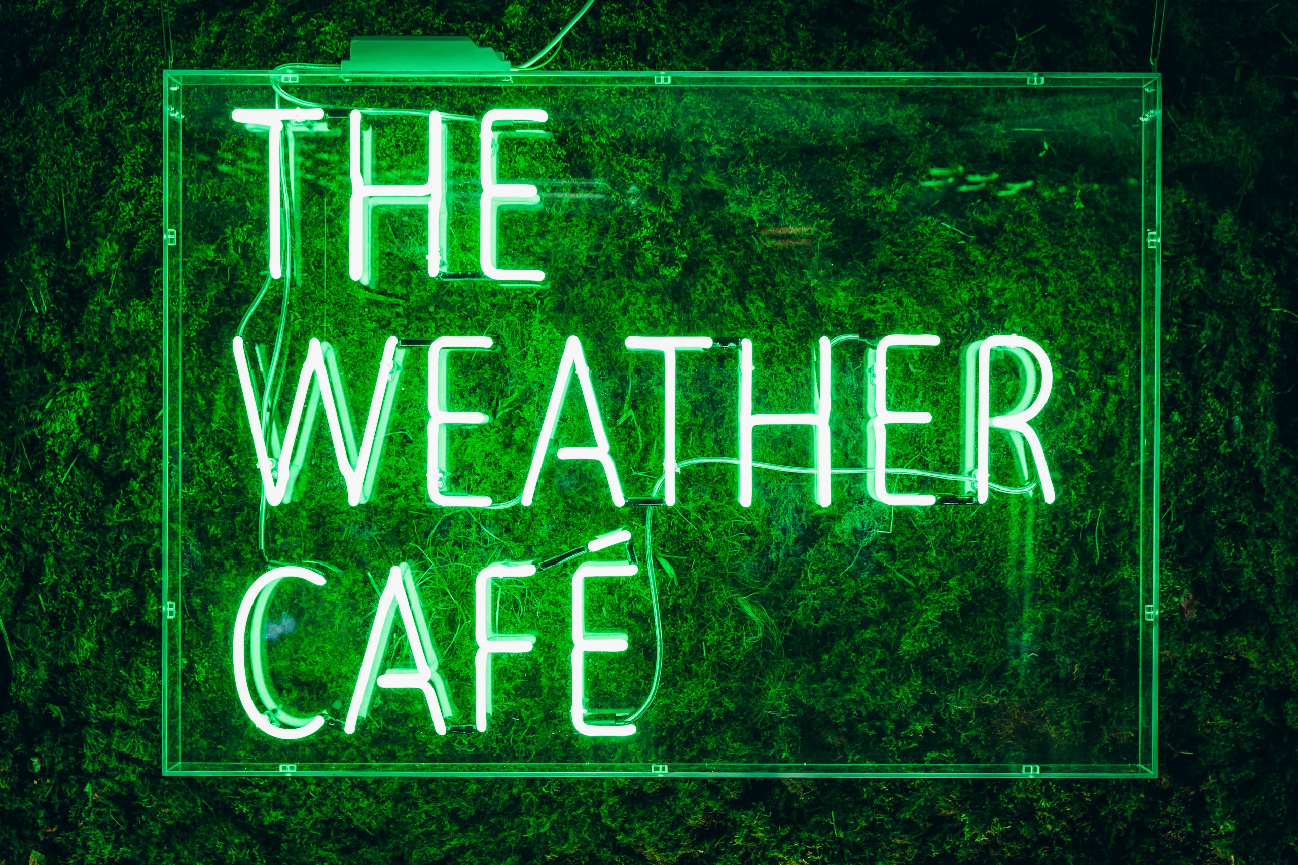 The Weather Café